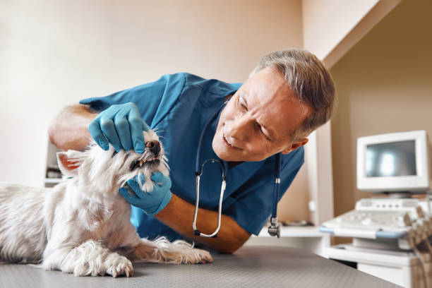 Best Weekend Emergency Dental Services in Chattanooga, TN